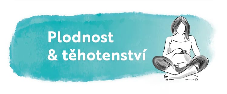 Plodnost & těhotenství