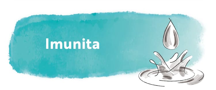 Imunita