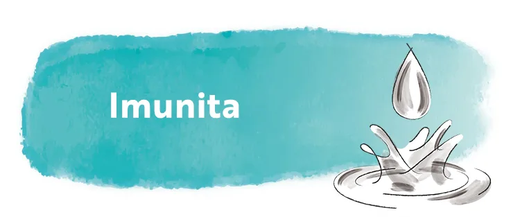 Imunita